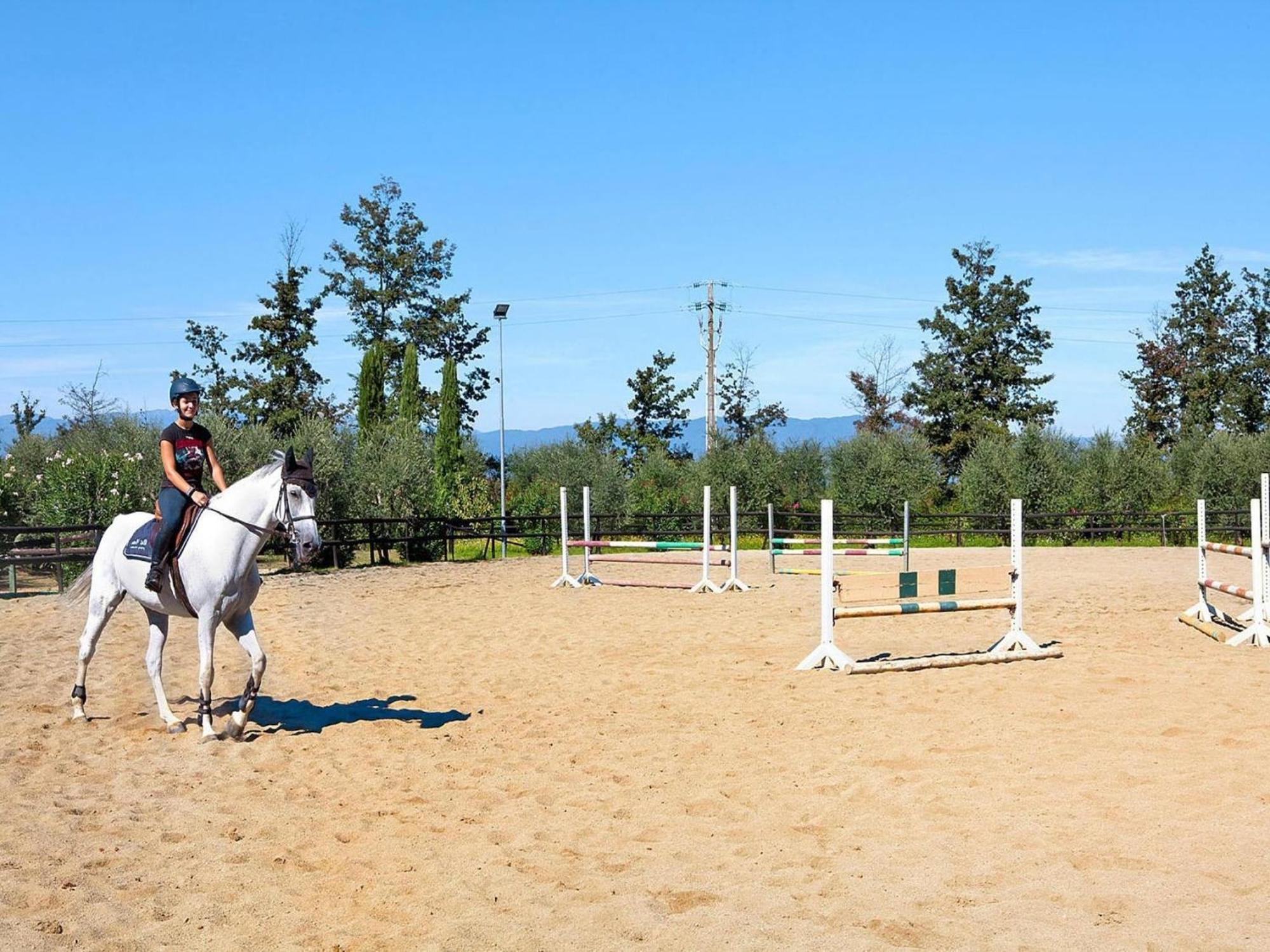 Hesse Farm Holiday Borgo Pinete Le Vedute エクステリア 写真